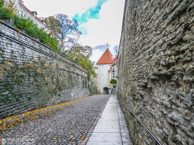 Tallinn 14102011-87